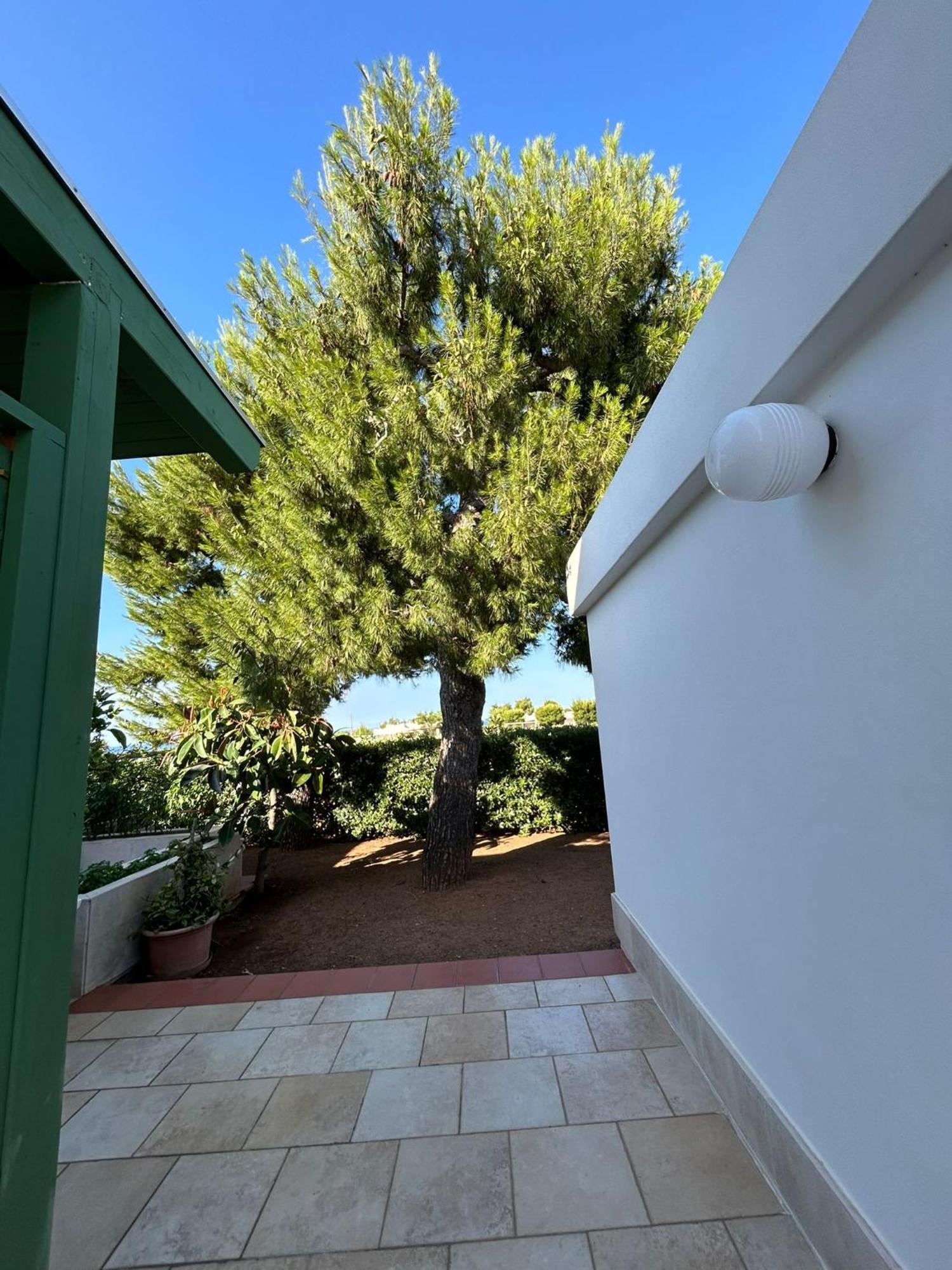 Villa Lamandia Monopoli Bagian luar foto